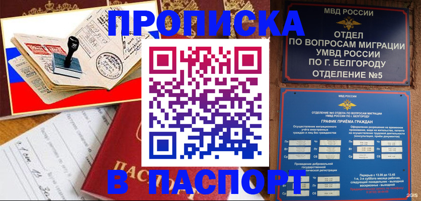 купить прописку в Тайге